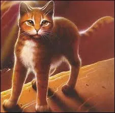 Parmi ces chattes lesquelles ont eu des petits durant le cycle 2 ?