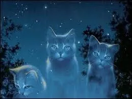 Parmi ces chats lesquels sont morts dans le cycle 2