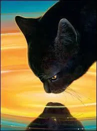 "Ils seront trois parents de tes parents (ou les parents du chat au beau pelage roux) à détenir le pouvoir des étoiles entre leurs pattes".
Feuille de Houx est-elle l'un des trois élus désignés par la prophétie ?