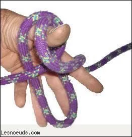 C'est un papillon d'ancrage.