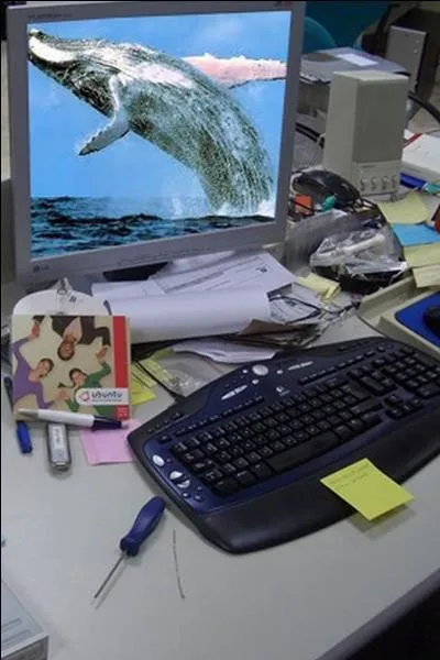 À qui appartient cet ordinateur ?