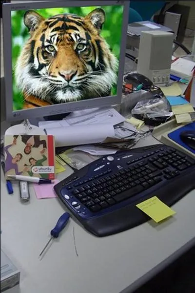 À qui appartient cet ordinateur ?