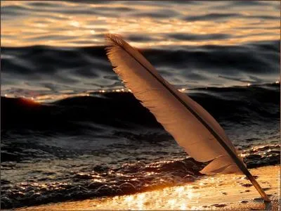 Ceux qui me connaissent savent que je plaisante souvent :