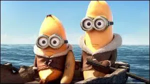 Quelle est leur quête ?