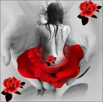 Qui est l'auteur du livre "A l'ombre des jeunes filles en fleur" ?