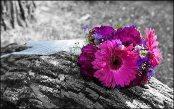 Quel est ce livre de Jean Genet ?