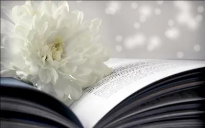 Qui a écrit "Madame Chrysanthème" ?