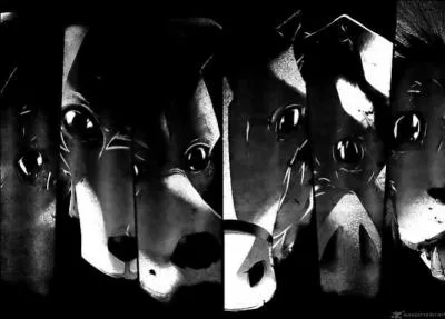 Quel est l'animal fétiche du mangaka Yoshiki Tonogai ?