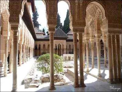 Les Arabes, quand ils sont nombreux, et bien voilà de quoi ils sont capables ! Mais que signifie "Alhambra" (Al Hamra), au juste ?