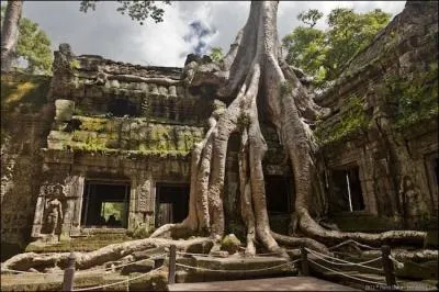 Encore un temple, Angkor (Cambodge) : il fait partie du plus grand ensemble urbain de l'ère pré-industrielle. il s'étendait sur ... (complétez ! )