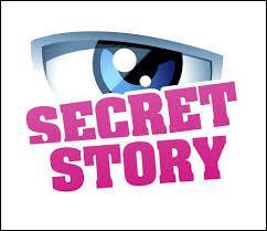 Qui est le(a) gagnant(e) de Secret Story 9 ?