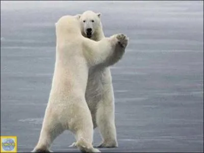 Indice : Et Paris qui bat la mesure - Paris qui mesure notre émoi !