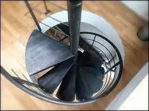 À quelle classe de mollusque cet escalier vous conduit-il ?