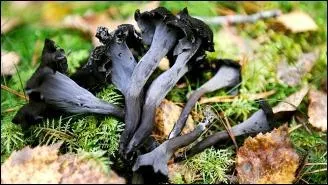 À la fois simple et bienveillant :