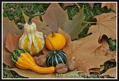 Annuaire téléphonique :