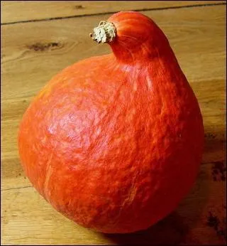 Marine. Bitte en acier servant à amarrer les navires au quai :