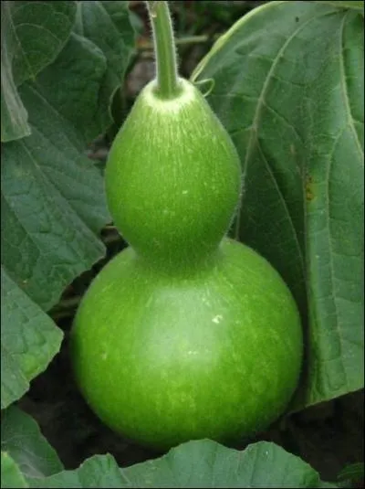 Excédent, bénéfice :