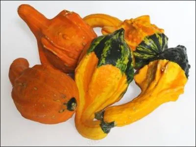 Familièrement, travailler :