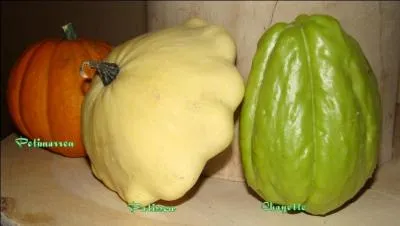 Marine. Calme, tranquillité de la mer avant ou après une tempête :