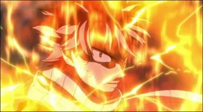 Pour finir le questionnaire, les quatre dernières questions seront de petites questions générales. Alors, parmi ces sorts, lequel ne fait pas partie de ceux de Natsu ?