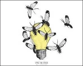 Quel rapport y a-t-il entre illustration et proposition ?