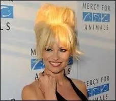 Quel est le rapport entre illustration et proposition ?