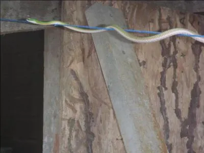 Trouvez le nom de deux personnages célèbres !