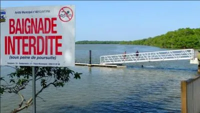 Qui a dit : Parole de coiffeur, il est interdit de descendre avant la raie ?