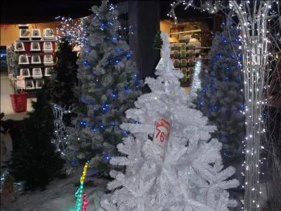 De ces trois interprètes ou groupes, qui a chanté "Etoile des neiges" ?