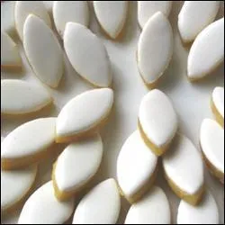 "L'alcarazas" était le palais fortifié des souverains maures d'Espagne.