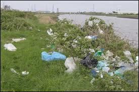 Combien d'années faut-il pour qu'un sac plastique se décompose dans la nature ?