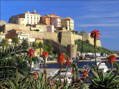 L'été, "La Pinède", célèbre plage de la capitale de la Balagne, est desservie par le trinighellu, le petit train des plages. Dans quelle ville de Haute-Corse irez-vous l'été prochain pour bronzer ?