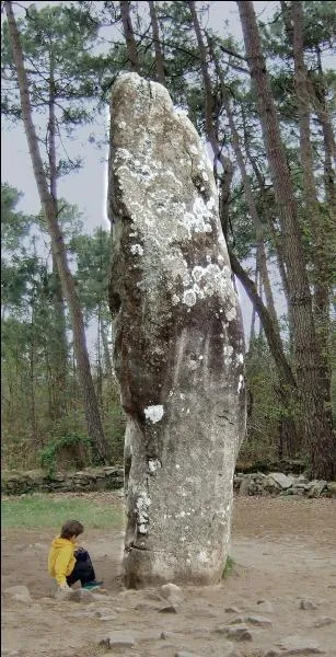 Menhirs, dolmens, tumulus Saint-Michel ! Dans quelle ville bretonne peut-on admirer ce patrimoine préhistorique ?