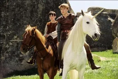 Qui est le deuxième enfant à découvrir Narnia ?