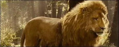 Qui découvre en premier l'armoire ?