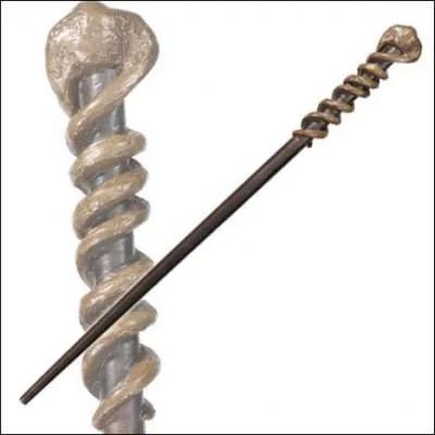 A qui appartient cette baguette ?