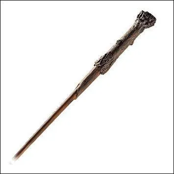 Sa baguette est en houx avec une plume de phoenix à l'intérieur, elle mesure 27, 5 cm. 
Elle est très souple et facile à manier.
Elle a été utilisée brièvement par Barty Croupton Jr, Drago Malefoy et par le souvenir de Tom Jédusor.
A qui appartient cette baguette ?