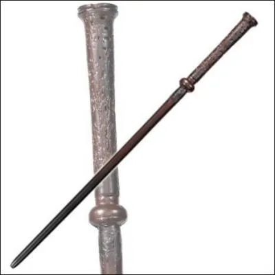 A qui appartient cette baguette ?