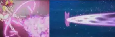 Quelles sont ces attaques ?