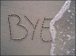 Voilà, ce petit quiz est terminé, je vous souhaite une bonne soirée. Que le bonheur ... avec vous !