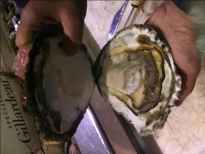 C'est le nom usuel des huitres de grandes tailles.