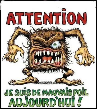 Cet homme est de mauvaise humeur. Il s'est...