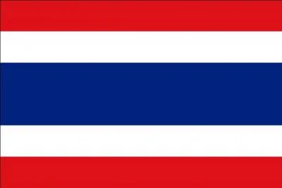 Quel pays représente ce drapeau ?