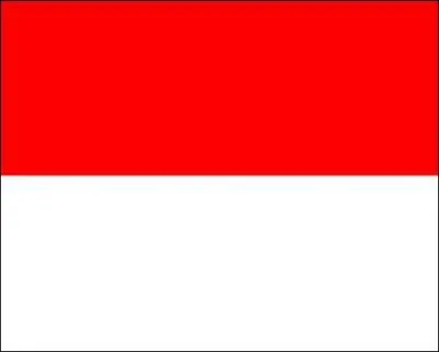 Quel pays a adopté ce drapeau ?