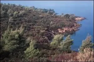 Mais si vous avez du vocabulaire, je suis sûre que vous préférez employer un synonyme littéraire.