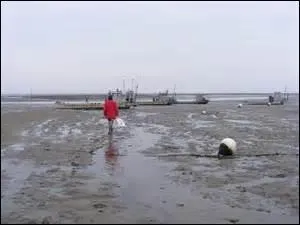 Quel verbe correspond au mieux à la situation présentée ?