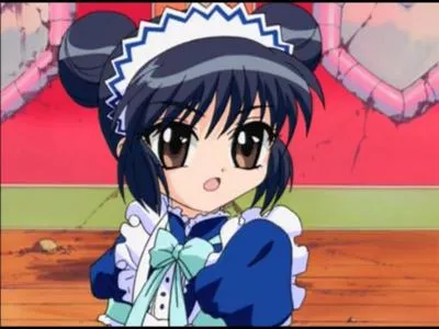 Quelle est son arme de combat ?