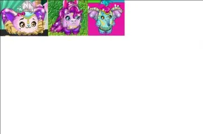 Combien d'évolutions un PetPet a-t-il ? (désolée pour la qualité de l'image)