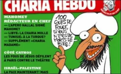 Comment appelle-t-on ce fouet dont les pirates se servaient pour punir ?