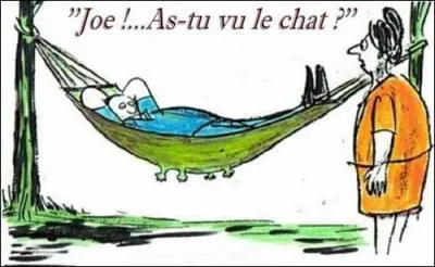 Dans la chanson populaire comment s'appelle la Mère qui a perdu son chat ?